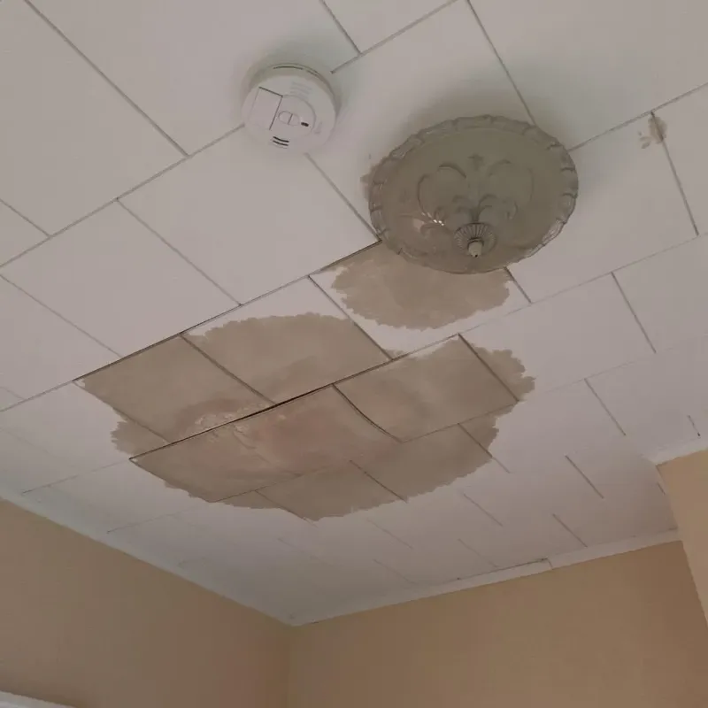 Ceiling Water Damage Repair in Broad Creek, NC