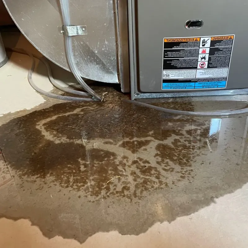 Pipe Burst and Leak Restoration in Broad Creek, NC